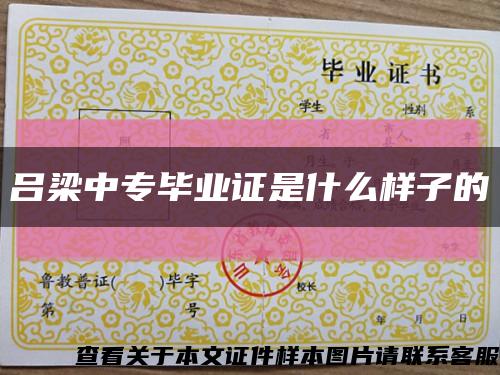 吕梁中专毕业证是什么样子的缩略图