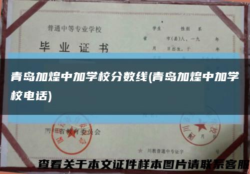 青岛加煌中加学校分数线(青岛加煌中加学校电话)缩略图