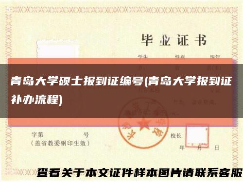 青岛大学硕士报到证编号(青岛大学报到证补办流程)缩略图