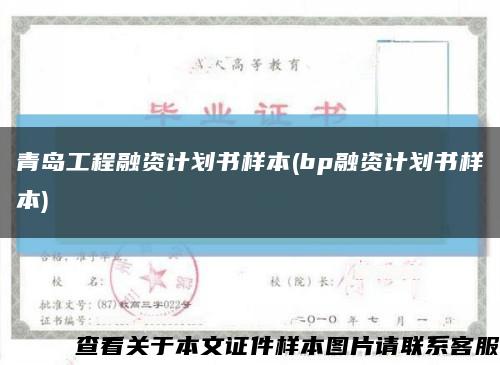 青岛工程融资计划书样本(bp融资计划书样本)缩略图