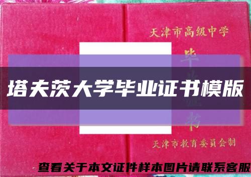 塔夫茨大学毕业证书模版缩略图