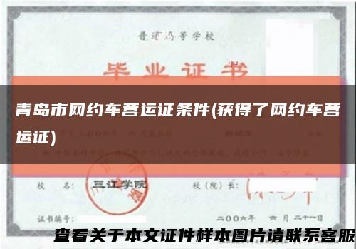 青岛市网约车营运证条件(获得了网约车营运证)缩略图