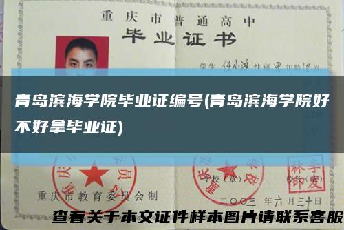 青岛滨海学院毕业证编号(青岛滨海学院好不好拿毕业证)缩略图