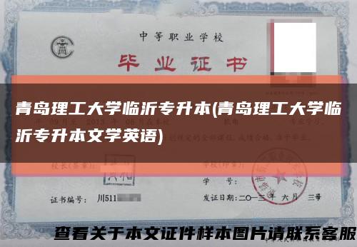 青岛理工大学临沂专升本(青岛理工大学临沂专升本文学英语)缩略图