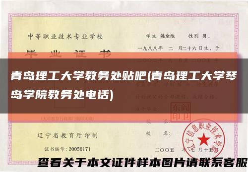 青岛理工大学教务处贴吧(青岛理工大学琴岛学院教务处电话)缩略图