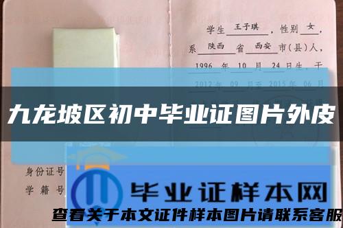 九龙坡区初中毕业证图片外皮缩略图