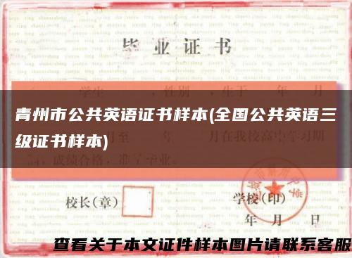 青州市公共英语证书样本(全国公共英语三级证书样本)缩略图