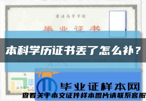 本科学历证书丢了怎么补？缩略图