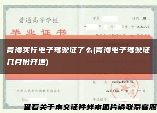 青海实行电子驾驶证了么(青海电子驾驶证几月份开通)缩略图