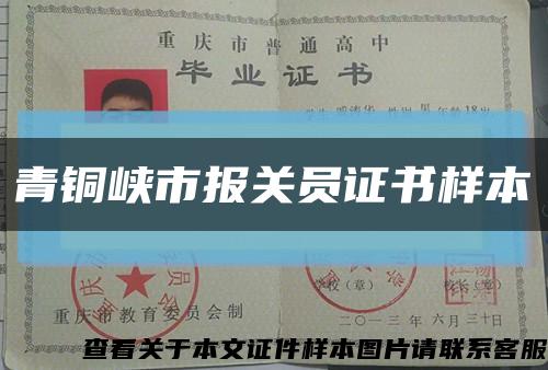 青铜峡市报关员证书样本缩略图