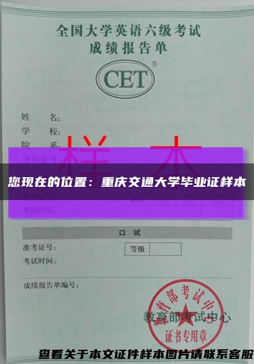 您现在的位置：重庆交通大学毕业证样本缩略图