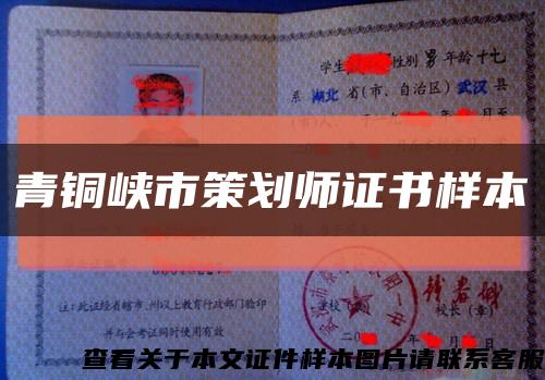 青铜峡市策划师证书样本缩略图