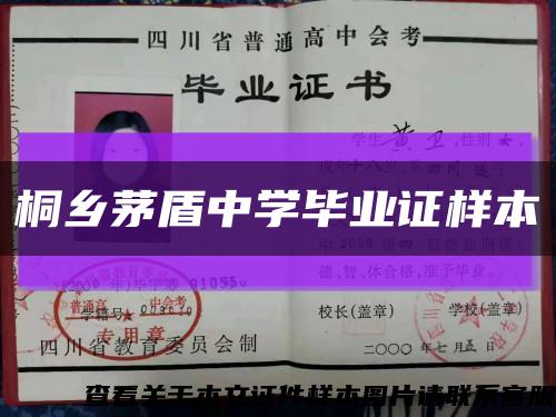 桐乡茅盾中学毕业证样本缩略图