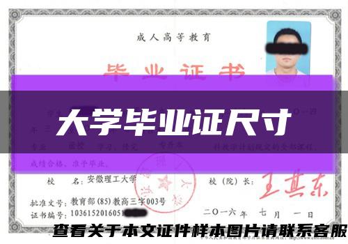 大学毕业证尺寸缩略图