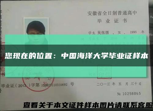 您现在的位置：中国海洋大学毕业证样本缩略图