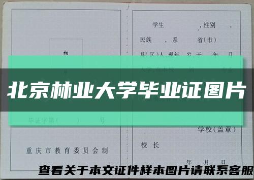 北京林业大学毕业证图片缩略图