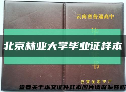 北京林业大学毕业证样本缩略图
