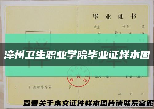 漳州卫生职业学院毕业证样本图缩略图