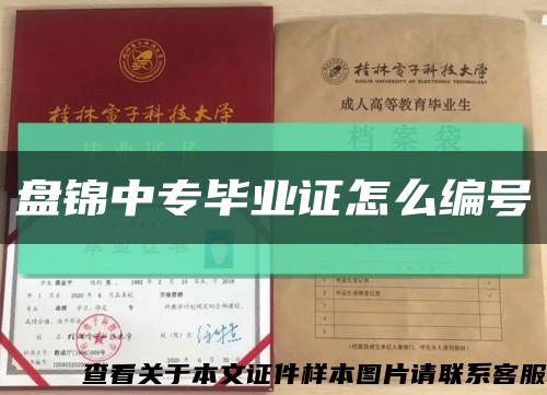 盘锦中专毕业证怎么编号缩略图