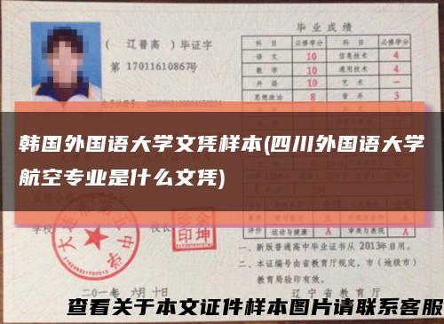 韩国外国语大学文凭样本(四川外国语大学航空专业是什么文凭)缩略图