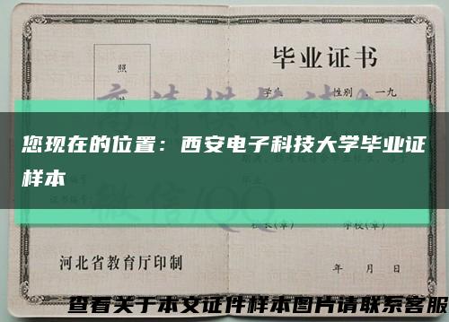 您现在的位置：西安电子科技大学毕业证样本缩略图