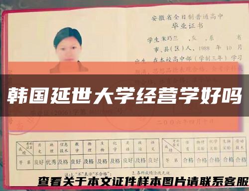 韩国延世大学经营学好吗缩略图
