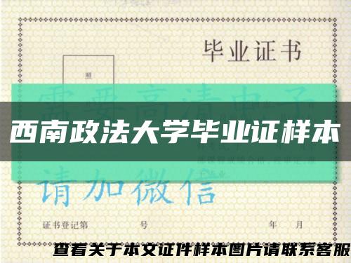 西南政法大学毕业证样本缩略图
