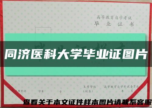 同济医科大学毕业证图片缩略图