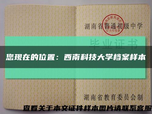 您现在的位置：西南科技大学档案样本缩略图