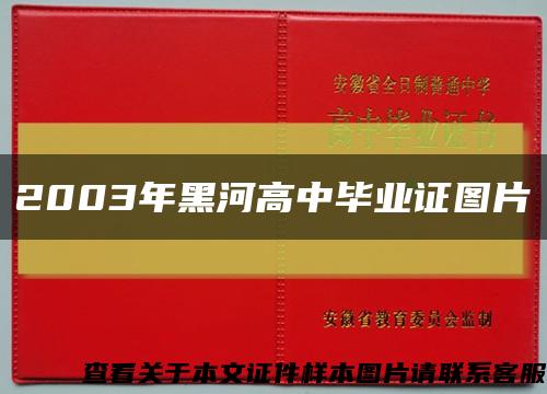 2003年黑河高中毕业证图片缩略图