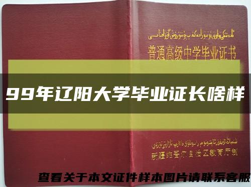 99年辽阳大学毕业证长啥样缩略图