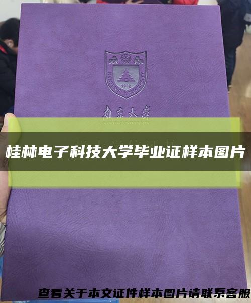 桂林电子科技大学毕业证样本图片缩略图