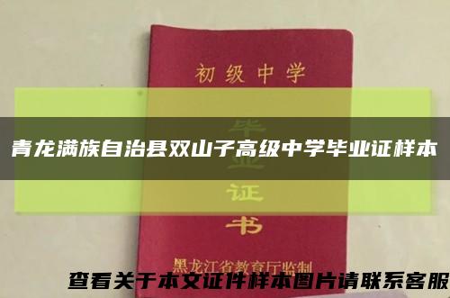 青龙满族自治县双山子高级中学毕业证样本缩略图