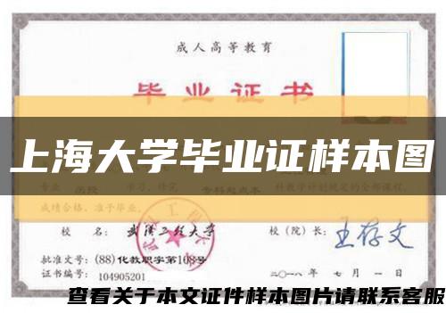 上海大学毕业证样本图缩略图