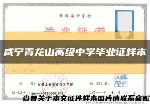 咸宁青龙山高级中学毕业证样本缩略图