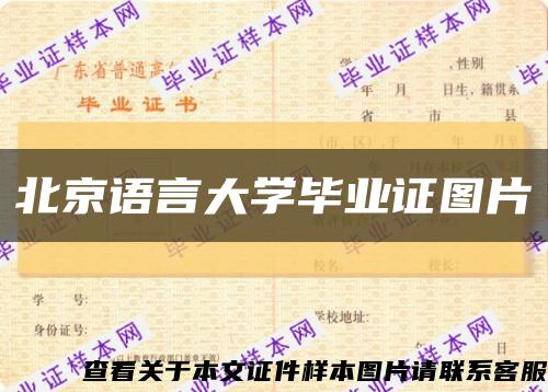北京语言大学毕业证图片缩略图