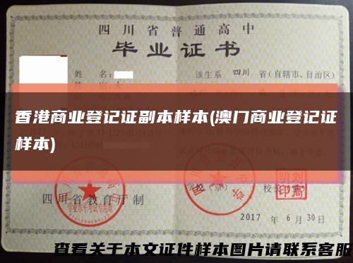 香港商业登记证副本样本(澳门商业登记证样本)缩略图