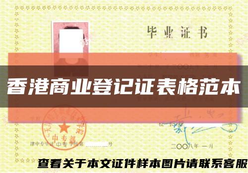 香港商业登记证表格范本缩略图