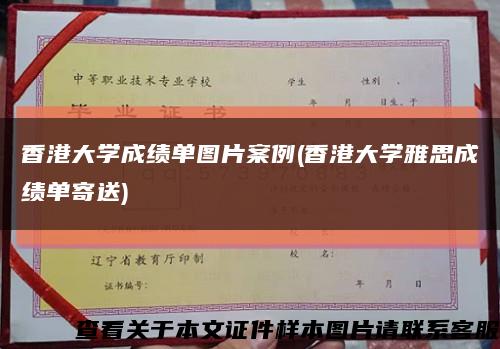香港大学成绩单图片案例(香港大学雅思成绩单寄送)缩略图