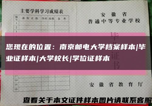 您现在的位置：南京邮电大学档案样本|毕业证样本|大学校长|学位证样本缩略图