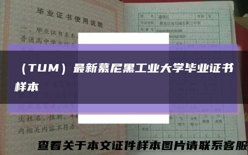 （TUM）最新慕尼黑工业大学毕业证书样本缩略图