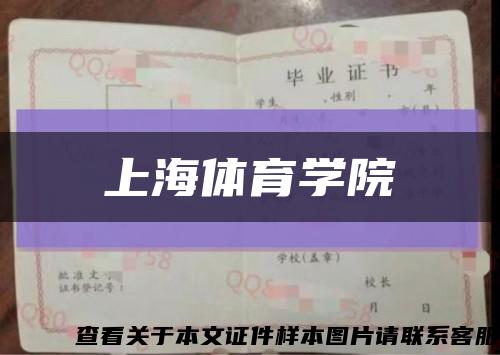 上海体育学院缩略图