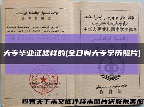 大专毕业证啥样的(全日制大专学历照片)缩略图