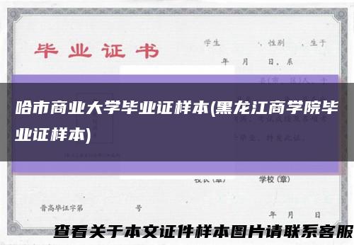 哈市商业大学毕业证样本(黑龙江商学院毕业证样本)缩略图
