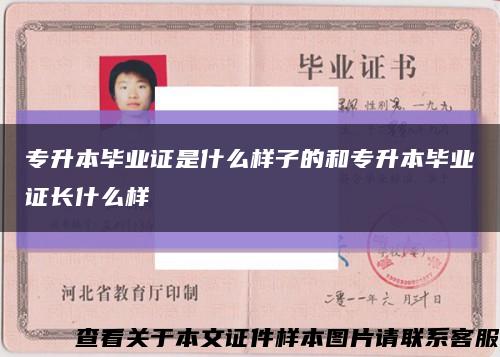 专升本毕业证是什么样子的和专升本毕业证长什么样缩略图
