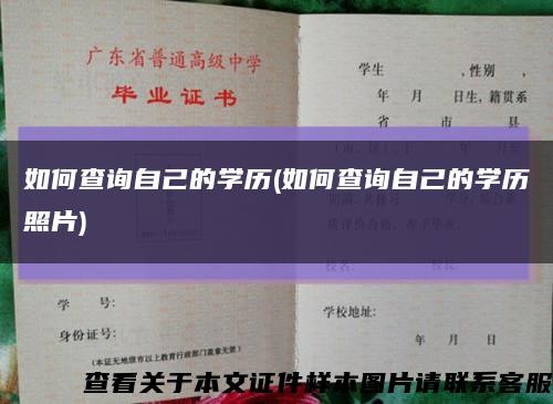 如何查询自己的学历(如何查询自己的学历照片)缩略图