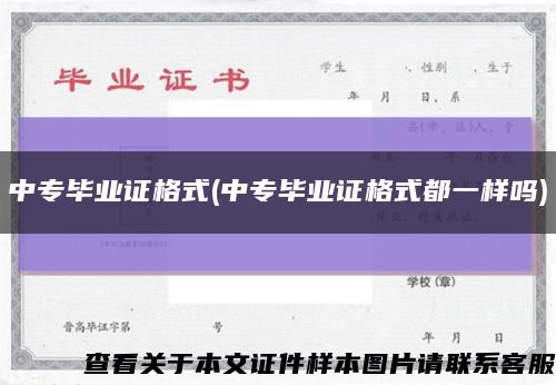 中专毕业证格式(中专毕业证格式都一样吗)缩略图
