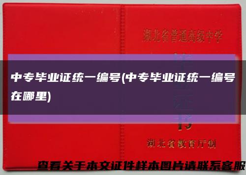 中专毕业证统一编号(中专毕业证统一编号在哪里)缩略图