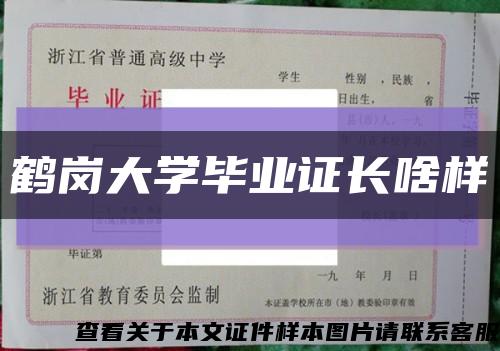 鹤岗大学毕业证长啥样缩略图