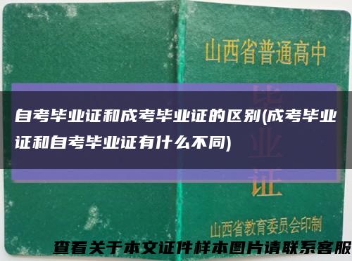 自考毕业证和成考毕业证的区别(成考毕业证和自考毕业证有什么不同)缩略图